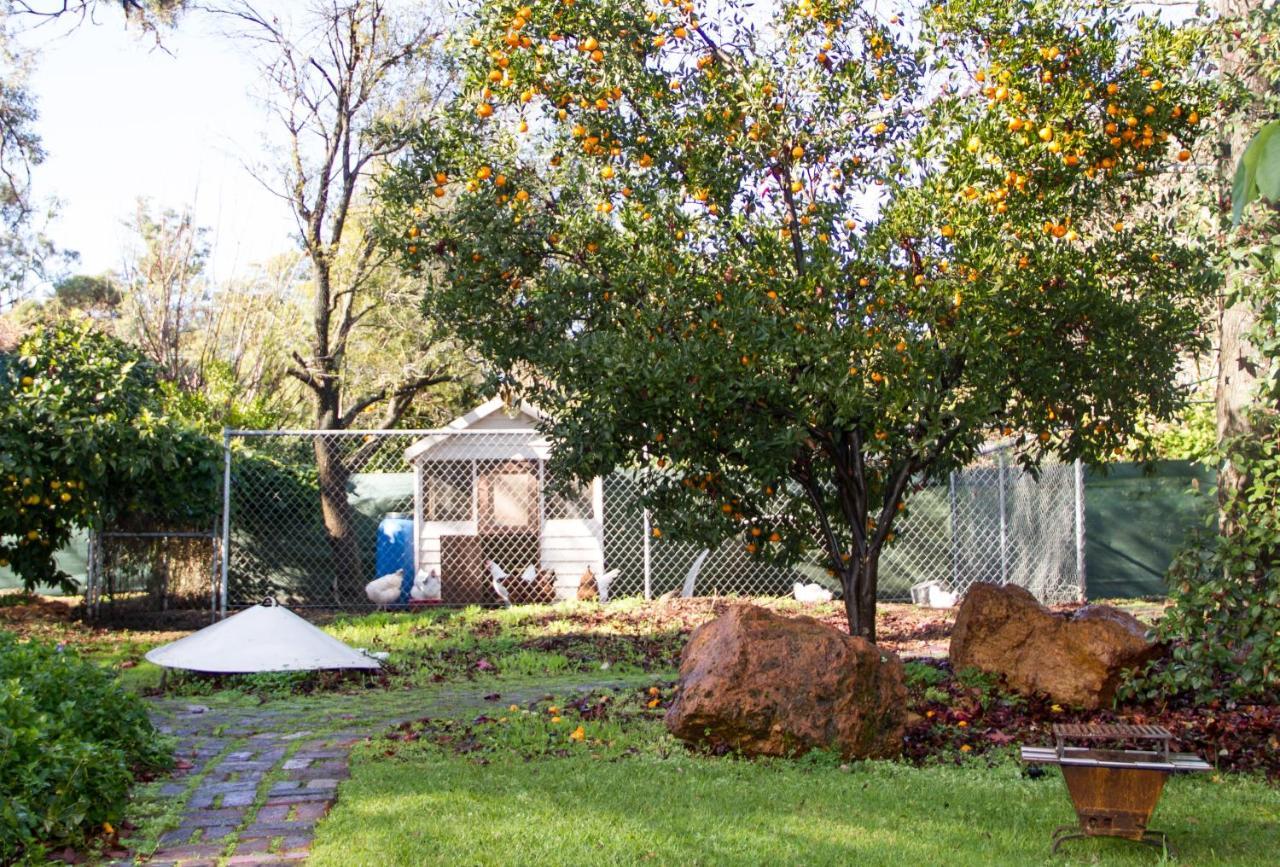 Farview Guest Accommodation Pickering Brook Экстерьер фото
